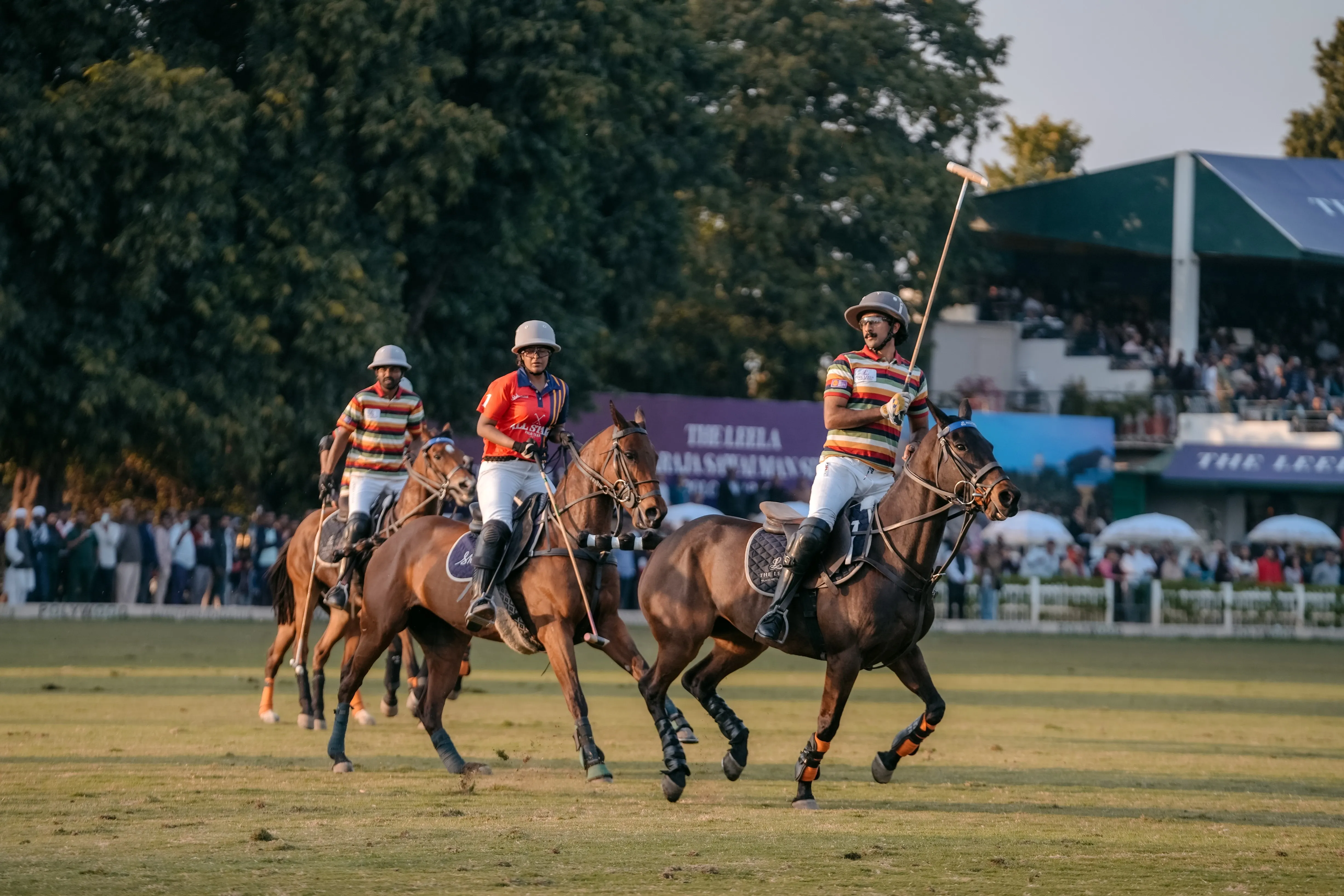 Polo Match